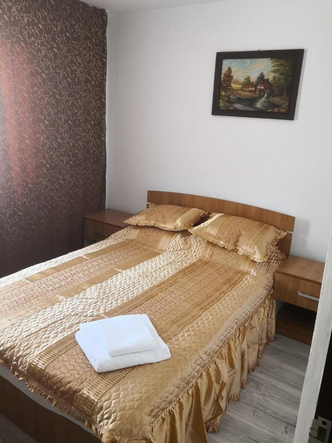 Apartament Cu Doua Camere Târgu Jiu Buitenkant foto
